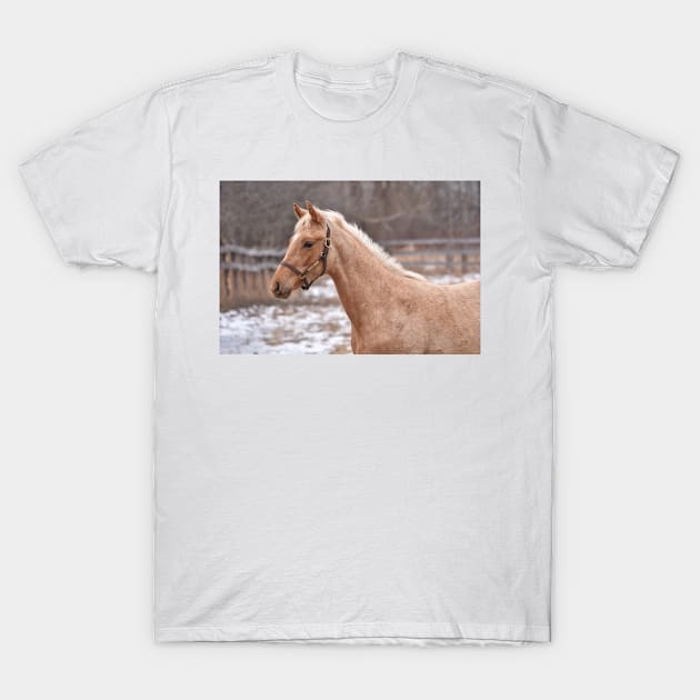 TB COLT T-Shirt by theartsyeq